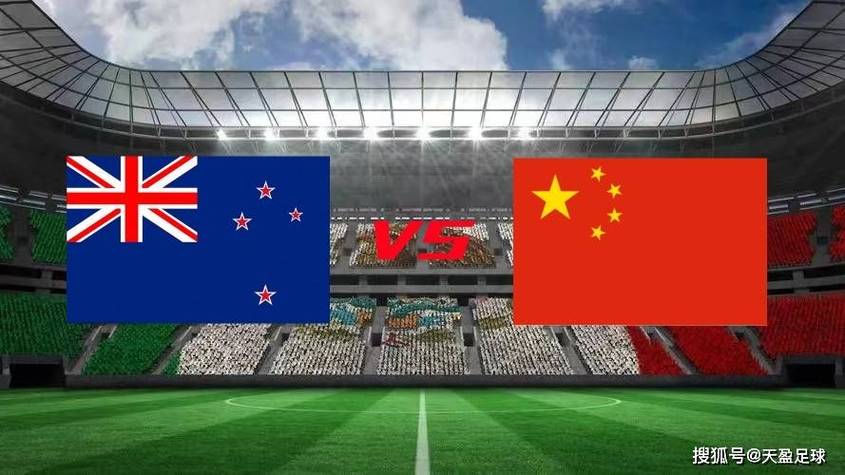 中国队vs新西兰数据