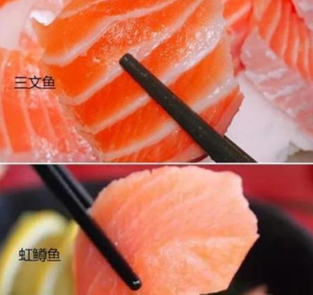 日本鱼王vs三文鱼