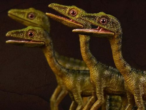 侏罗纪公园进化美颌龙vs迅猛龙的相关图片